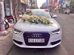 Xe hoa cao cấp - Audi