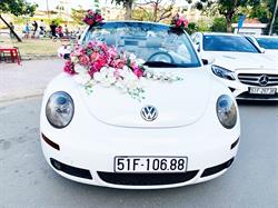 Xe hoa cao cấp - Volkswagen