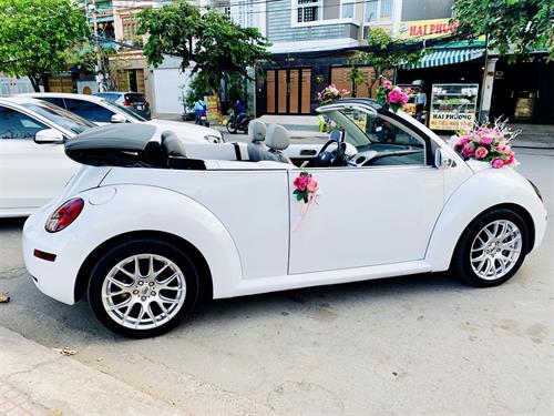 Xe hoa cao cấp - Volkswagen