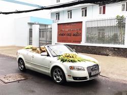 Xe hoa cao cấp - Audi