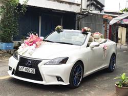 Xe hoa cao cấp - Lexus