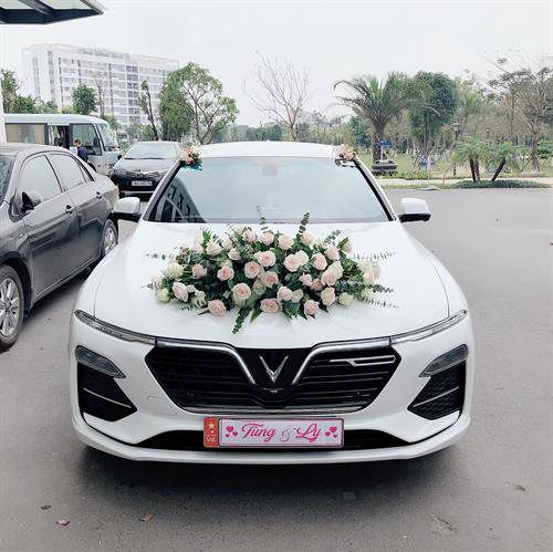 Xe Vinfast